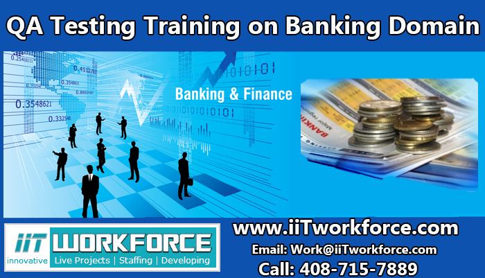 QA Testing Training on Banking Domain Project