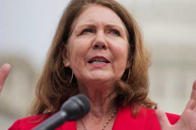 Arizona Rep. Ann Kirkpatrick to Seek Treatment for &lsquo;alcohol dependence&rsquo;