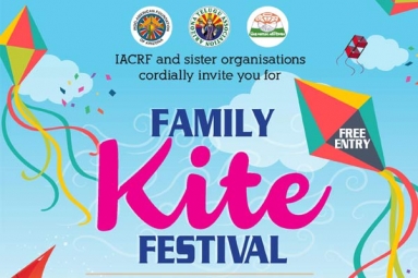 Family Kite Festival Family Kite Festival
