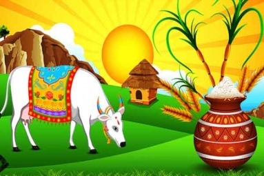 Makara Sankaranthi Pongal Celebrations - Special Gho Puja Makara Sankaranthi Pongal Celebrations - Special Gho Puja