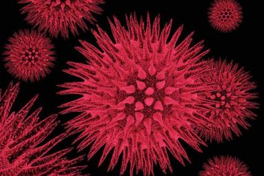 Alert! Measles outbreak in Arizona!