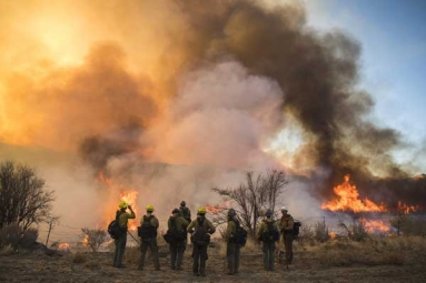 Wild Fire Spread across South East Arizona Gets In Control