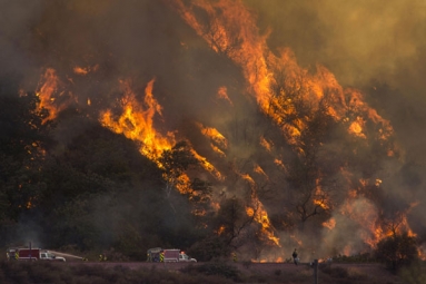 Wild Fire burns 2500 acres of land near Eagar