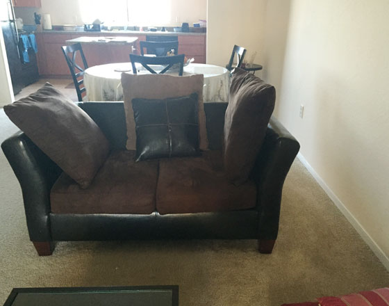 3 seater couch and 2 seater loveseat