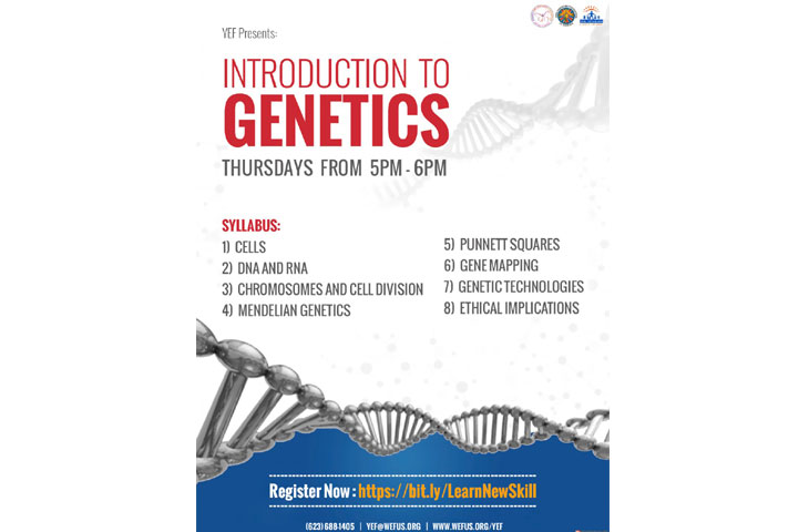 /media/k2/galleries/74235/YEF-Vedic-Math6