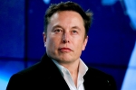 Elon Musk news, Elon Musk rich, after twitter poll elon musk sells 1 1 billion usd tesla stocks, Bonus