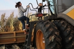 farm aid, coronavirus, trump sanctions 19 billion for the aid of farmers hit by pandemic, Relief package