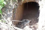 J&K, Dharmedra Pareek, bsf found 20 meter tunnel from pakistan in sambha j k, Dharmedra pareek