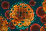 Coronavirus, Coronavirus India, 37 875 new coronavirus cases reported in india, Icmr