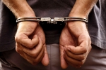 Smuggling Foreigners, human smuggling, 61 year old indian origin man jailed for 5 years for smuggling foreigners including indians into america, Human smuggling