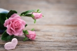 long distance mothers day gifts, Mother’s day, 8 ways to send love to your mom on mother s day even when you are away from home, Microwave
