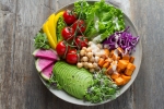 transition, plant based diet, important factors to know before transitioning to a vegan lifestyle, Plant based diet transition, plant based diet, important factors to know before transitioning to a vegan lifestyle, Plant based diet