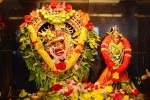 Aani Thirumanjanam Sri Natarajar Abhishekam, Natarajar Abhishekam, aani thirumanjanam sri natarajar abhishekam, Aani thirumanjanam sri natarajar