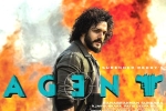 Agent latest, Agent film new updates, a grand pre release event planned for akhil s agent, Surender reddy