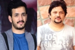AK Entertainments, Akhil Akkineni latest, akhil akkineni and surendar reddy joins hands, Coronavirus lockdown AK Entertainments, Akhil Akkineni latest, akhil akkineni and surendar reddy joins hands, Coronavirus lockdown