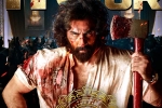 Animal Movie, Animal Movie collections, animal stands strong on monday despite drop, Animal movie