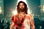 Animal collections, Animal collections first day, ranbir kapoor s animal opens on a strong note, Animal collections