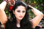 Bhaagamathi new movie, Anushka, anushka s fourth periodic drama, Rudhramadevi Bhaagamathi new movie, Anushka, anushka s fourth periodic drama, Rudhramadevi