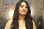 Mahesh P, Anushka latest news, anushka s next project updates, Sundeep kishan