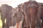 Aranya​ review, Rana Daggubati Aranya​ movie review, aranya movie review rating story cast and crew, Vishnu vishal