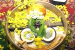 Celebrations in Arizona, Arizona Hindu events, vishu and tamil new year celebrations in arizona, Solar cycle 25