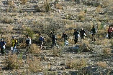 U.S. Border Patrol Detain 95 Migrants near Arizona Line