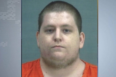 Arizona man pleads guilty in cyber-attack in Wisconsin