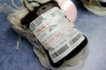 blood screening for Zika, Arizona blood bank, arizona blood bank plans to test donations for zika, Zika virus blood screening for Zika, Arizona blood bank, arizona blood bank plans to test donations for zika, Zika virus