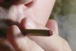 Marijuana legalizing in Arizona, Marijuana legalizing in Arizona, arizona to vote for legalizing marijuana, Arizona voters