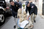 temples, indian temples, 10 000 major artworks stolen from indian temples every decade expert, International destinations