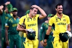 Australia Vs South Africa result, Australia Vs South Africa highlights, australia enters world cup final 2023, David warner