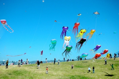 Pongal Kite Celebrations Pongal Kite Celebrations