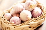 Chinese garlic ban, Chinese garlic problems, how to identify banned chinese garlic in the indian market, Gonda