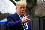 H1-B visa, foreign, trump bans hiring of h1b visa holders for federal contracts, H1b visa
