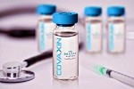 Covaxin, Covaxin, bharat biotech to begin phase 3 trials of covaxin in up from october, Bharat biotech