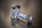 Bharat Biotech, Bharat Biotech, bharat biotech informs steady progress in covid 19 vaccine development, Rabies