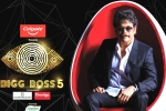 Star MAA, Bigg Boss 5 on Star MAA, bigg boss 5 curtain raiser episode highlights, Styling