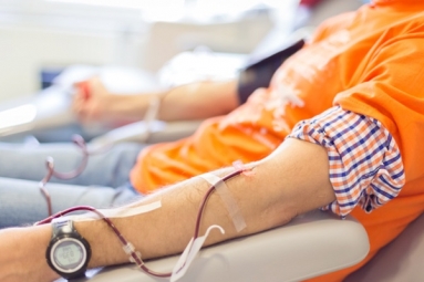 Blood Donation Drive &ndash; Satya Sai Center