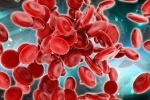 Stem Cells, Blood Forming Stem Cells, scientists generate blood forming stem cells, Stem cells