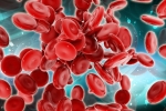 Blood Forming Stem Cells, Blood Forming Stem Cells, scientists generate blood forming stem cells, Frog