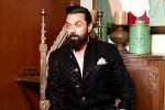 Bobby Deol Vs Alia Bhatt news, Bobby Deol Vs Alia Bhatt updates, bobby deol to lock horns with alia bhatt, Tiger zinda hai