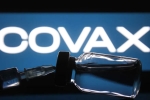 Tedros Adhanom Ghebreyesus latest, Tedros Adhanom Ghebreyesus latest, covax delivers 20 million doses of coronavirus vaccine for 31 countries, Ghana Tedros Adhanom Ghebreyesus latest, Tedros Adhanom Ghebreyesus latest, covax delivers 20 million doses of coronavirus vaccine for 31 countries, Ghana