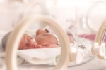 early caffeine group, lung, caffeine therapy can boost brain development in preemies study, Brain development