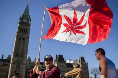 Canada Senate Legalizes Recreational Marijuana