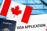 Canada's study visa approvals shocker, Canada's study visa approvals decline, canada s study visa approvals for indian students to drop by 50 in 2024, Autumn Canada's study visa approvals shocker, Canada's study visa approvals decline, canada s study visa approvals for indian students to drop by 50 in 2024, Autumn