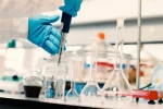 cancer cells, stages of cancer, cancer can be complete curable claims israeli scientists, Peptides