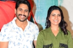 Naga Chaitanya updates, Naga Chaitanya updates, naga chaitanya and samantha to work together again, Majili