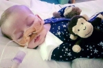 mitochondrial depletion syndrome, mitochondrial depletion syndrome, pope trump among those offering help for sick baby charlie gard, Mitochondria mitochondrial depletion syndrome, mitochondrial depletion syndrome, pope trump among those offering help for sick baby charlie gard, Mitochondria
