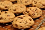 Tasty and Crunchy Chocolate Cookies Recipe, Biscuits Recipe, tasty and crunchy chocolate cookies recipe, Biscuits recipe Tasty and Crunchy Chocolate Cookies Recipe, Biscuits Recipe, tasty and crunchy chocolate cookies recipe, Biscuits recipe
