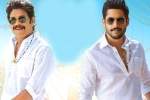 Bangarraju collections, Bangarraju release date, ten days worldwide collections of bangarraju, Soggade chinni nayana